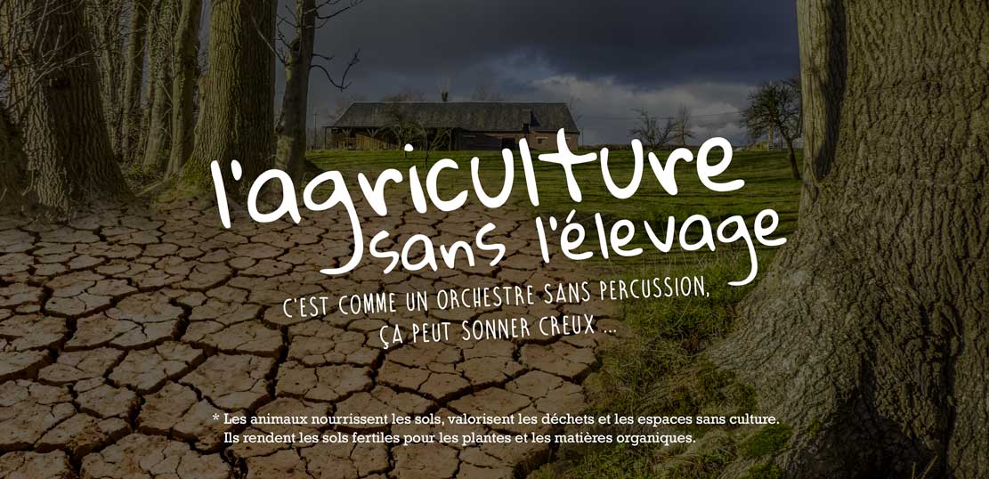 agriculture-sans-elevage