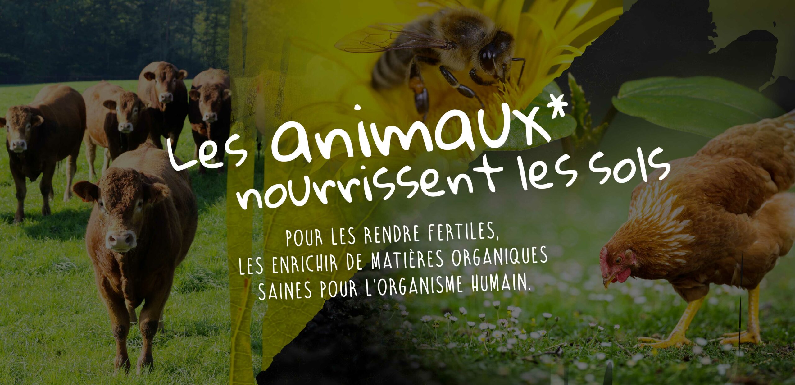 animaux-nourrissent-sols-2