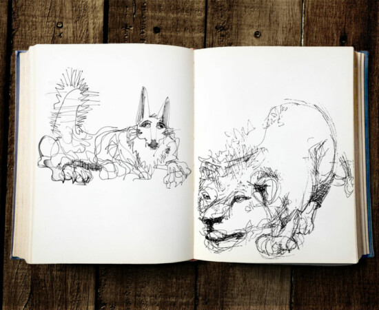 carnet des animaux